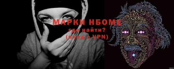 хмурый Нея