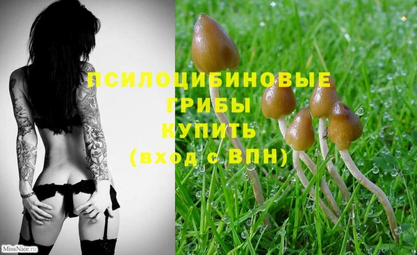 круглые Анива