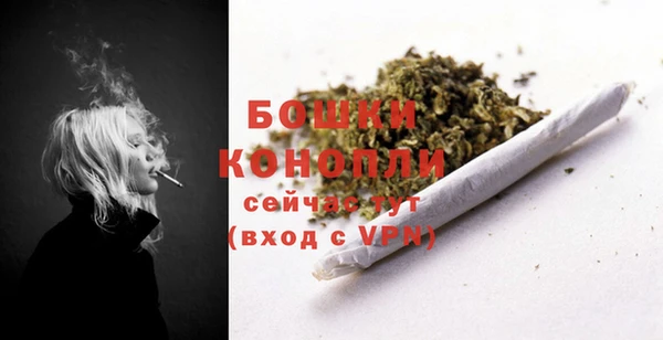 хмурый Нея