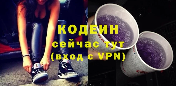 хмурый Нея