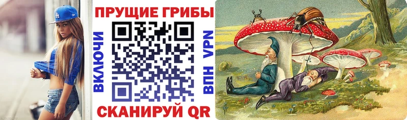 Галлюциногенные грибы Magic Shrooms  купить наркотики цена  Константиновск 